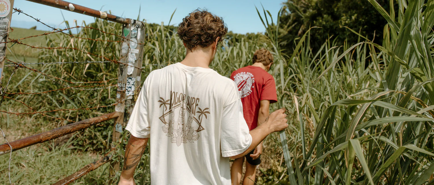 Ride the Wave with Koloa